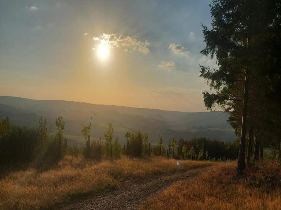 Region [summer] (>5 km)