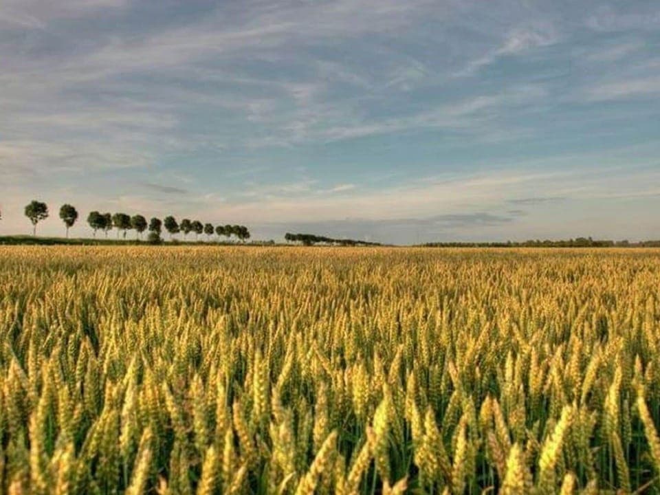 Surroundings [summer] (1-5 km)