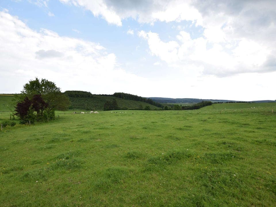 Immediate Surroundings [summer] (<1 km)