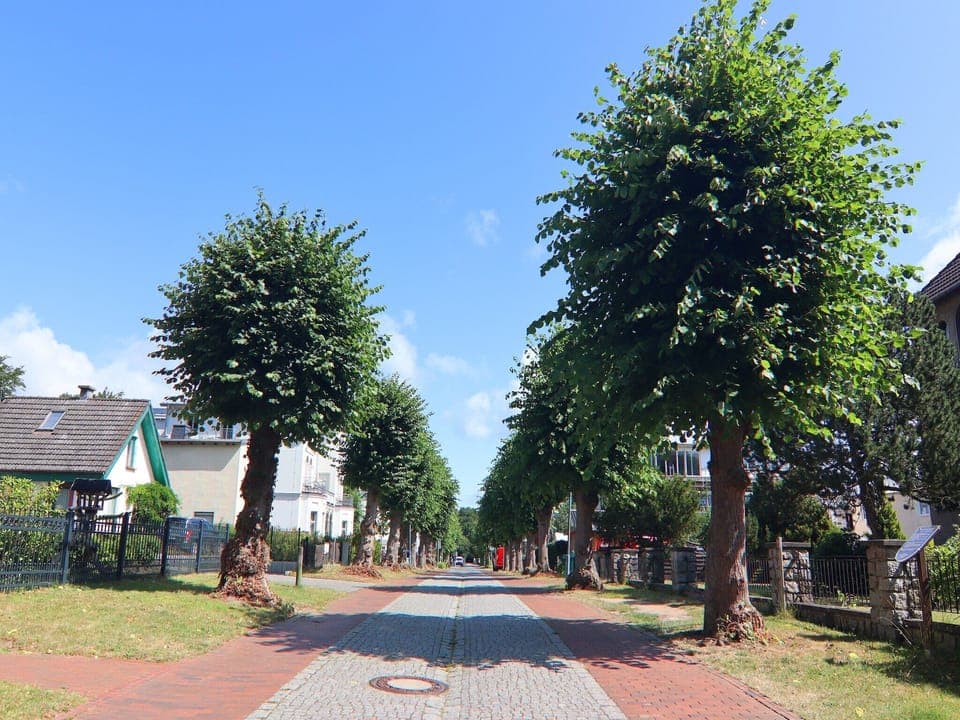 Immediate Surroundings [summer] (<1 km)