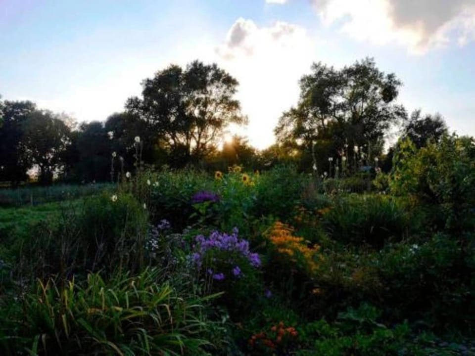 Region [summer] (>5 km)