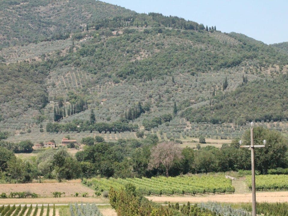 View from Holiday Home [summer]