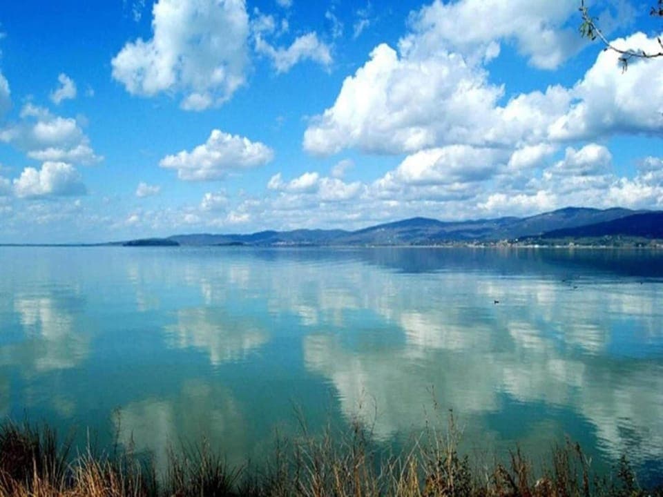 Region [summer] (>5 km)