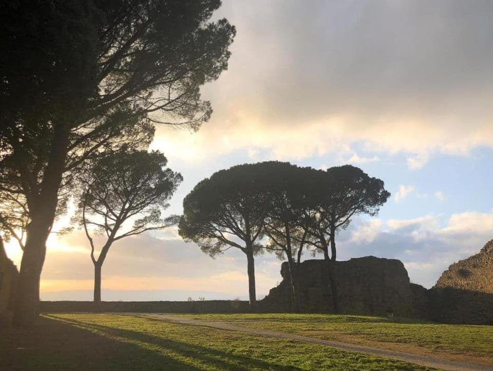 Region [summer] (>5 km)