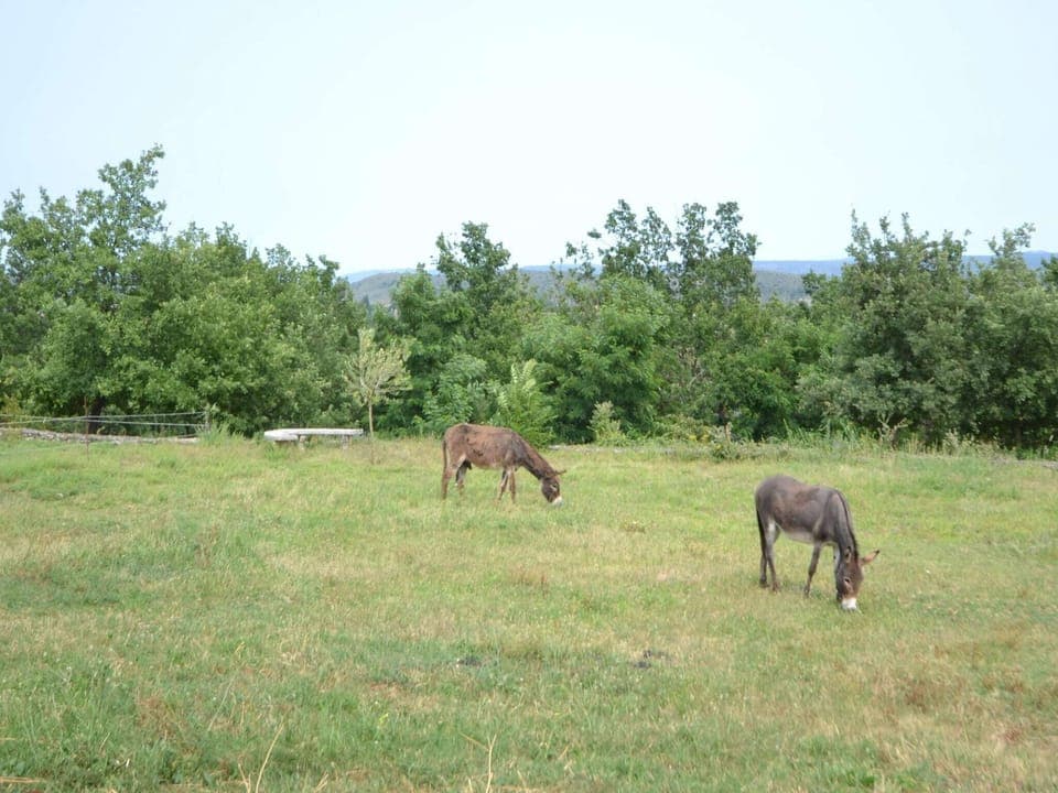 Immediate Surroundings [summer] (<1 km)