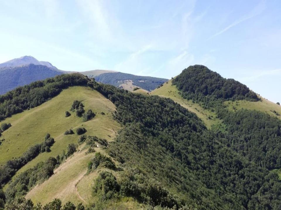 Region [summer] (>5 km)