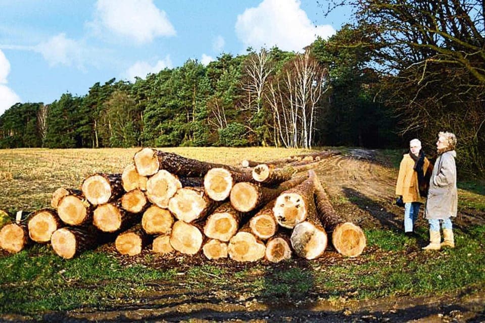 Immediate Surroundings [summer] (<1 km)