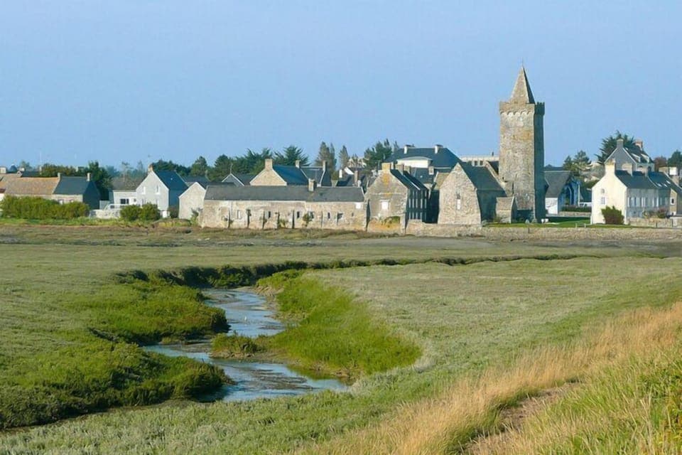 Region [summer] (>5 km)