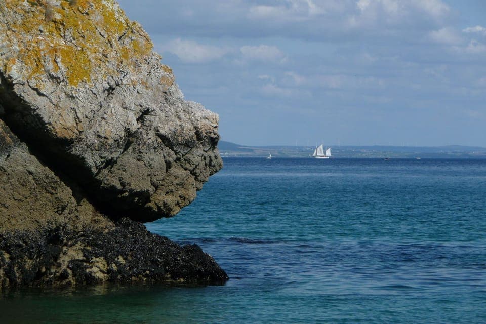 Region [summer] (>5 km)