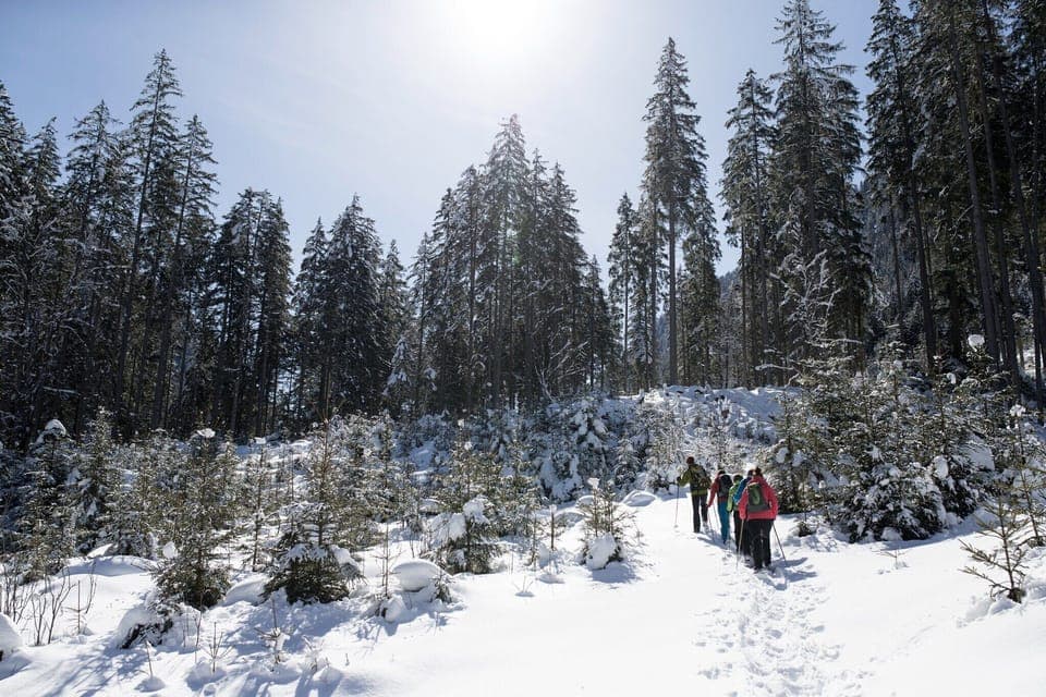 Region [winter] (>5 km)