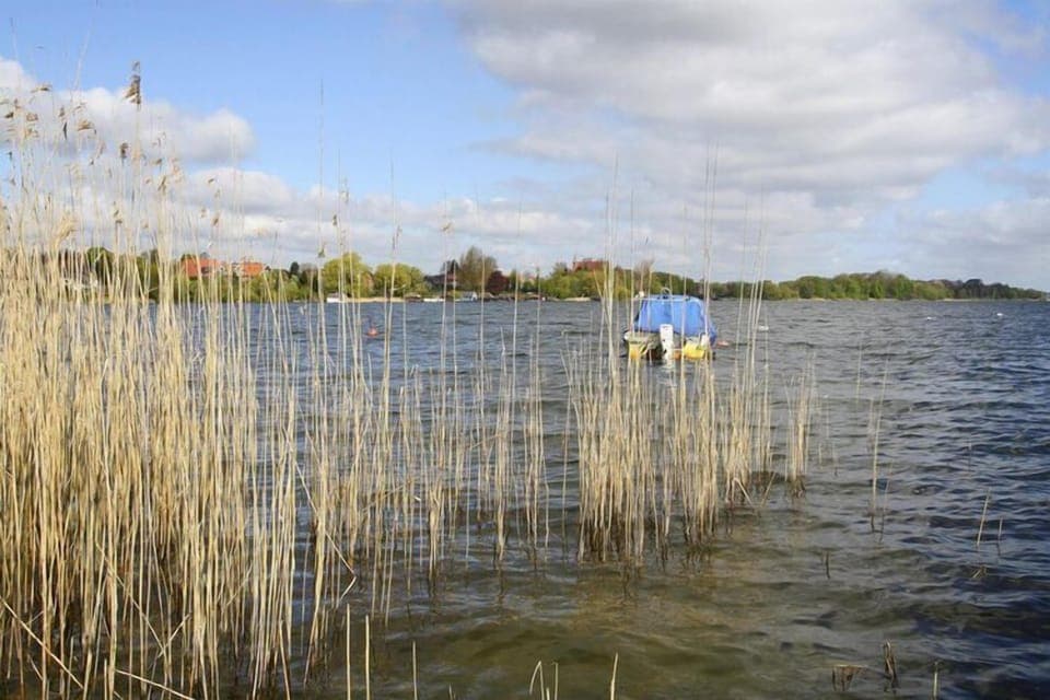 Immediate Surroundings [summer] (<1 km)