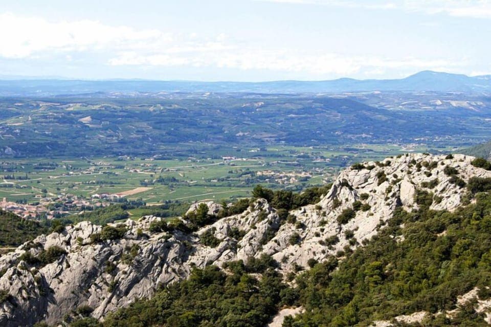 Region [summer] (>5 km)