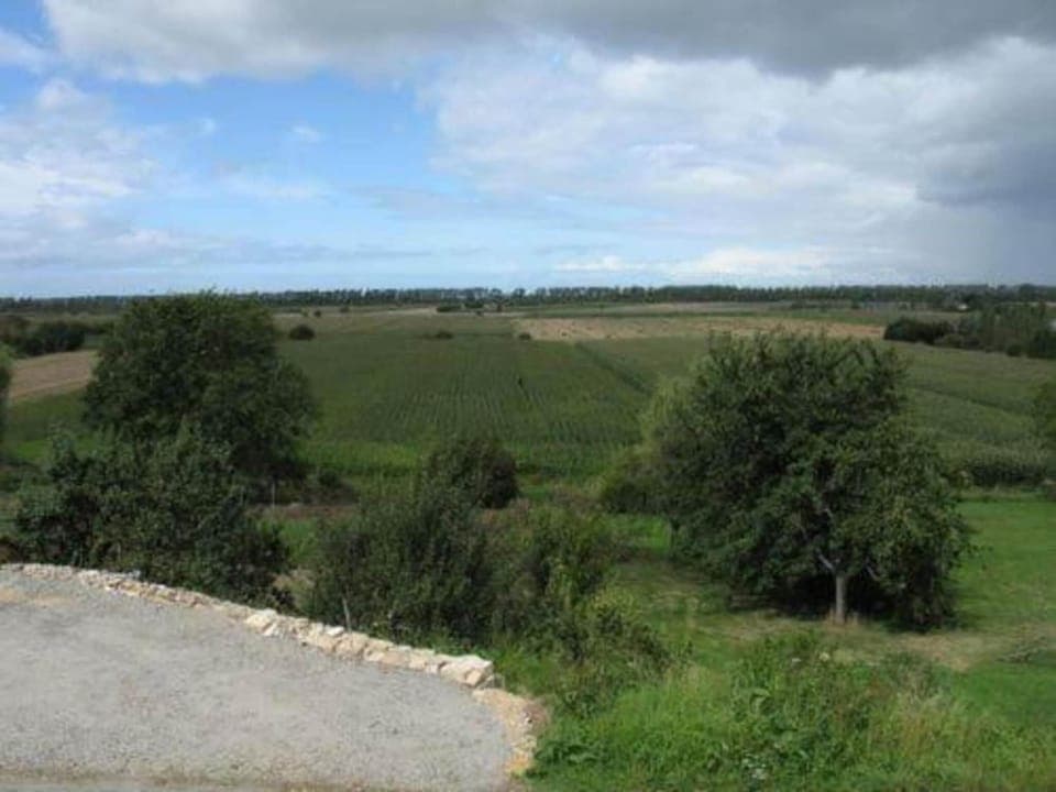 Region [summer] (>5 km)