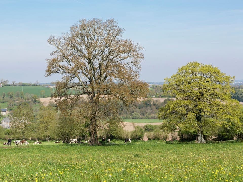 Immediate Surroundings [summer] (<1 km)