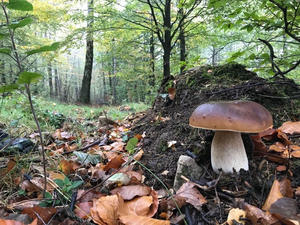 Surroundings [summer] (1-5 km)