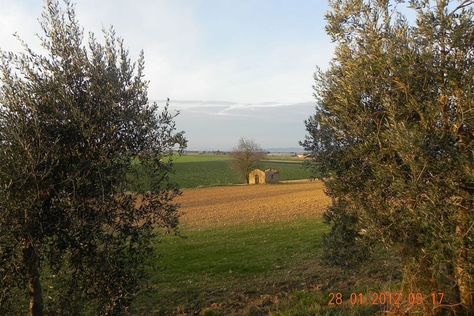 View from Holiday Home [summer]