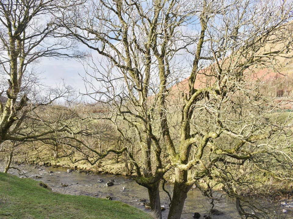View | Coombe Cottage - Brockholes Farm, Near Tebay