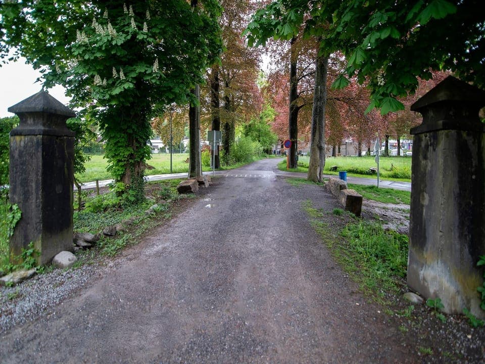 Immediate Surroundings [summer] (<1 km)