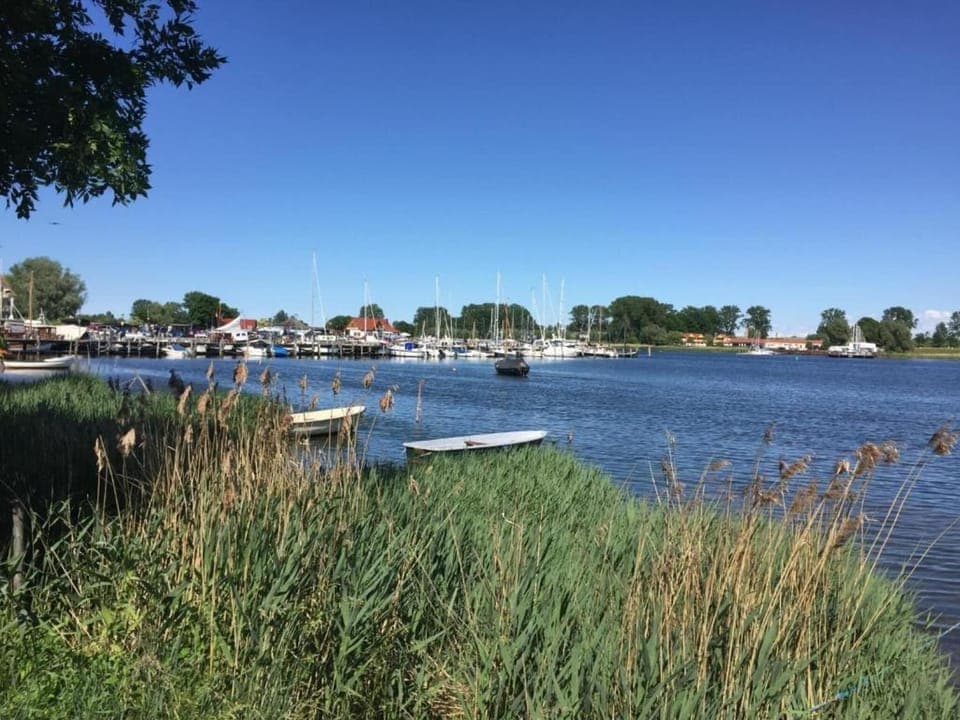 Region [summer] (>5 km)