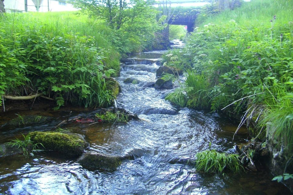 Immediate Surroundings [summer] (<1 km)