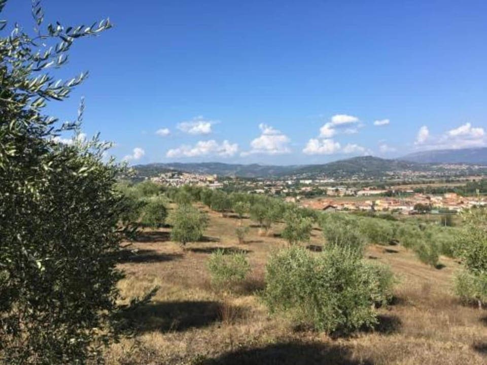 Region [summer] (>5 km)