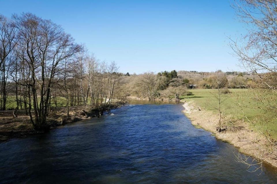 Region [summer] (>5 km)