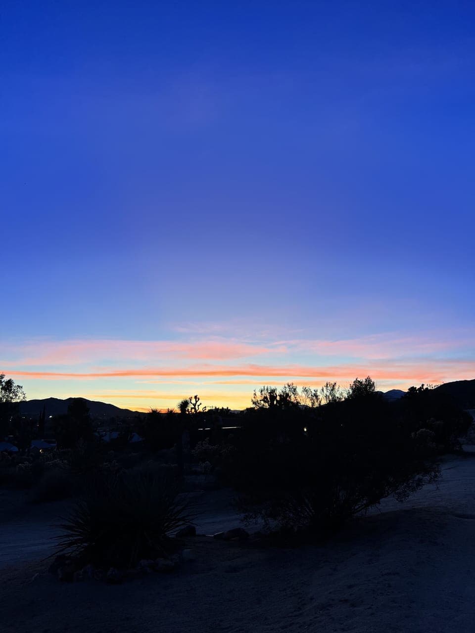 Views from the back yard of some of the most beautiful sunsets 