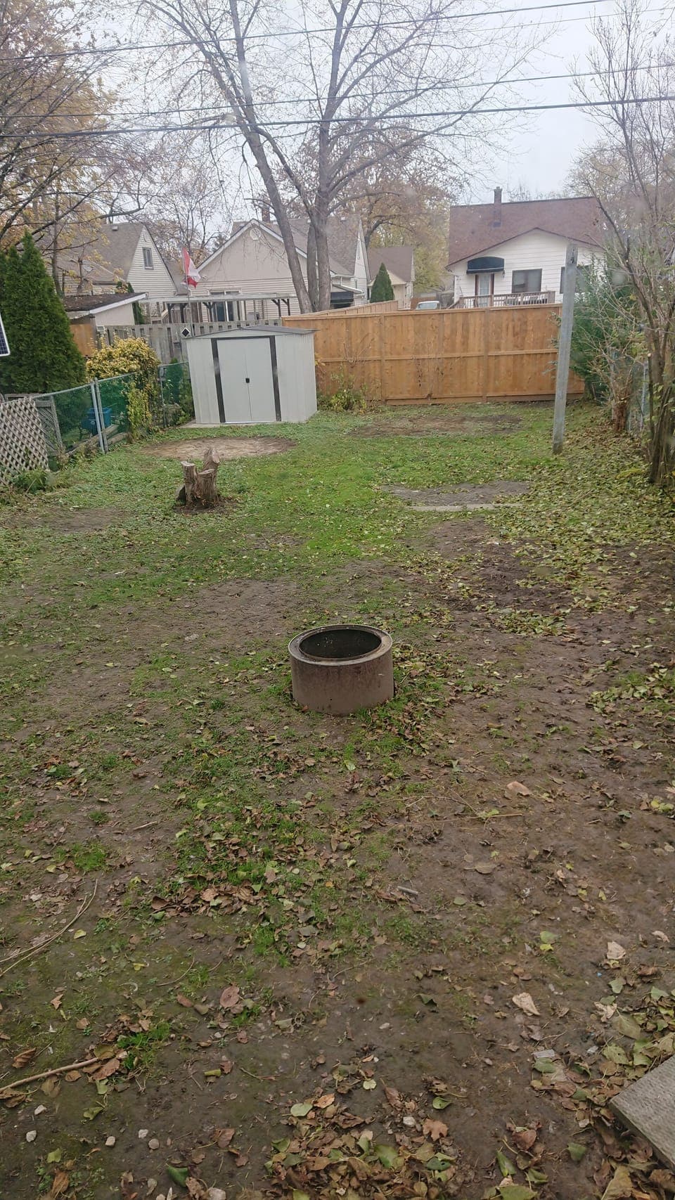 Back garden
