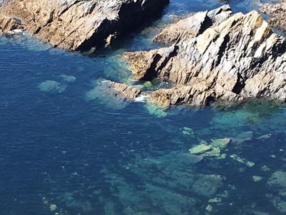 View from local walk