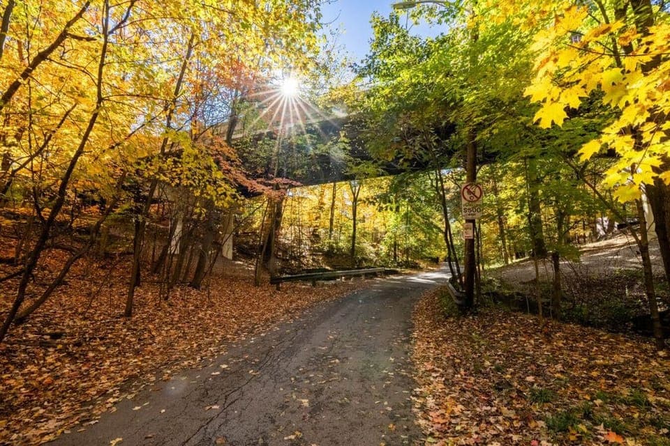 Walhalla Ravine, Steps Away!