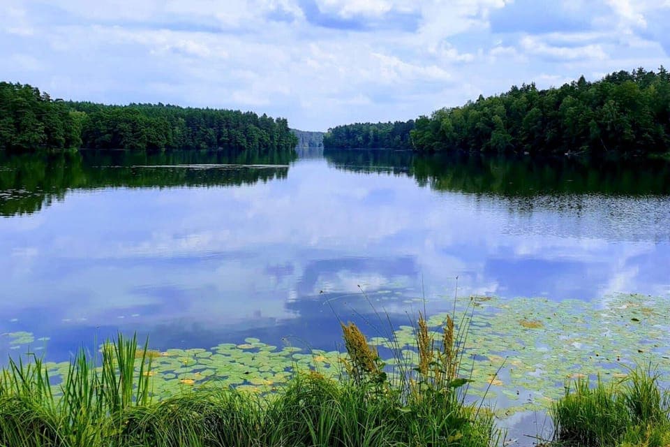 Immediate Surroundings [summer] (<1 km)