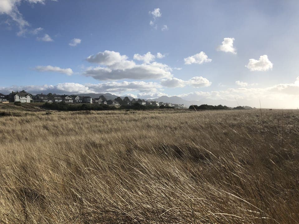 View looking east through the field towards Gearhart from close to the beach