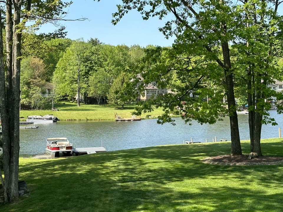 The view from the back deck
