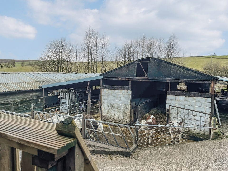 View | The Piglet, Leek