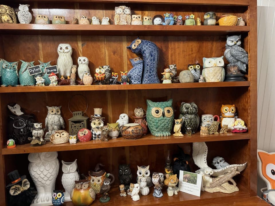Hundreds of owls are displayed now—many gifted by guests.