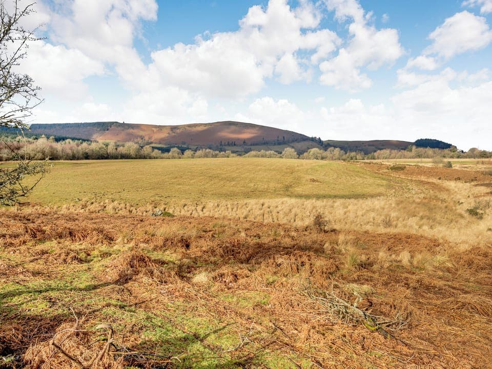 View | Hawthorn Lodge - Mid Wales Lodges, Llandrindod Wells