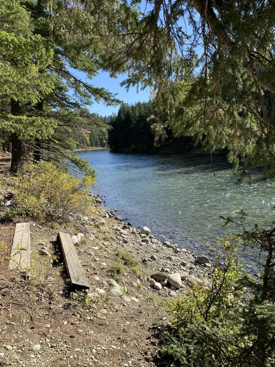 Salmon viewing on Cle Elum River 