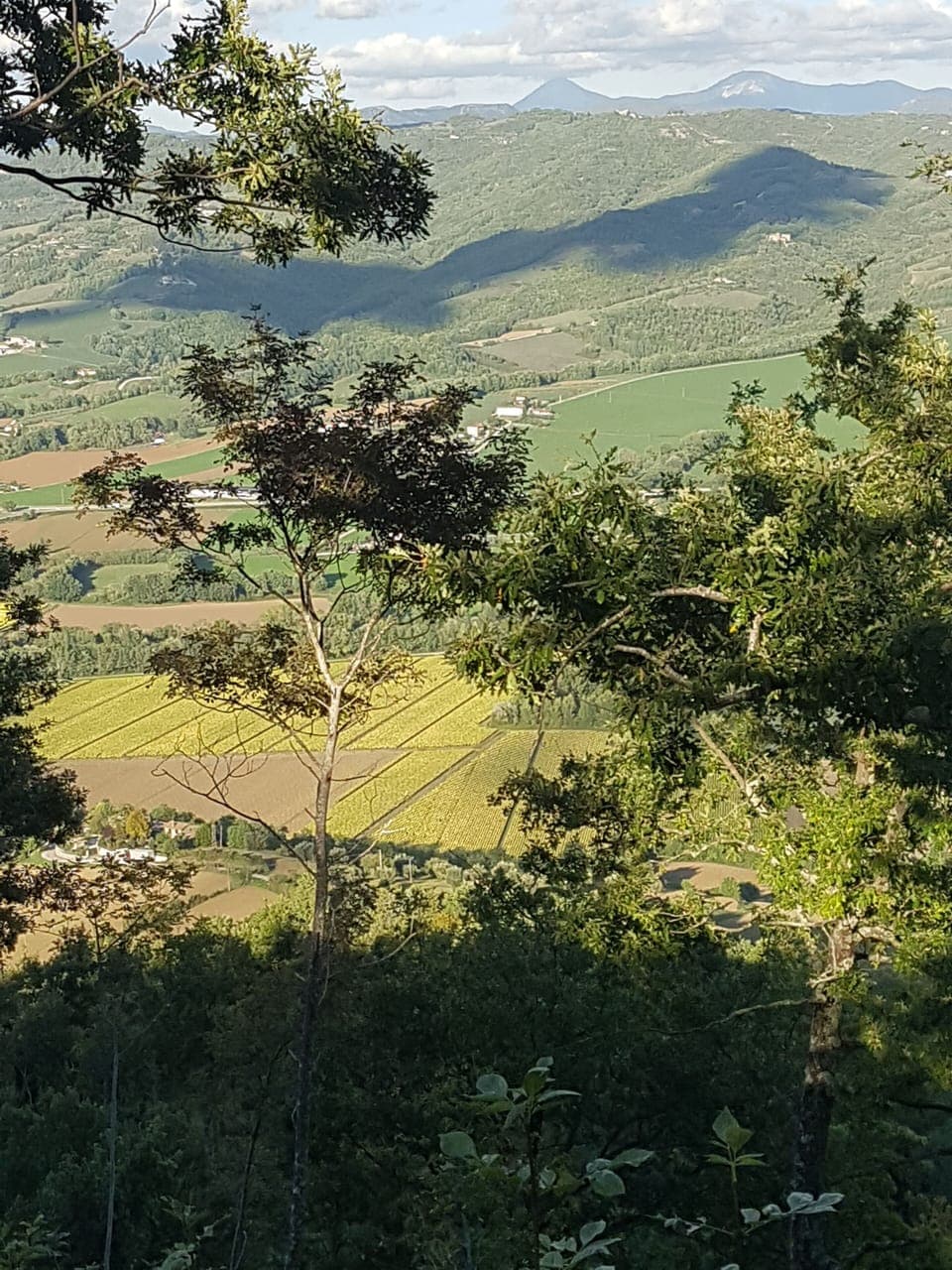 Looking east across Tiber Valley