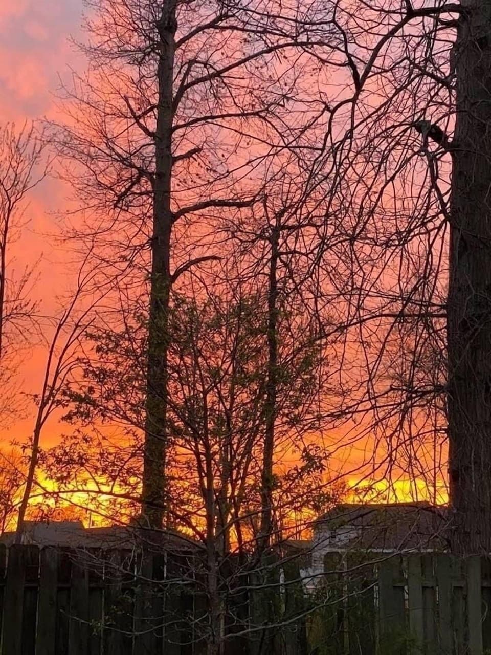 Sunset from fire pit