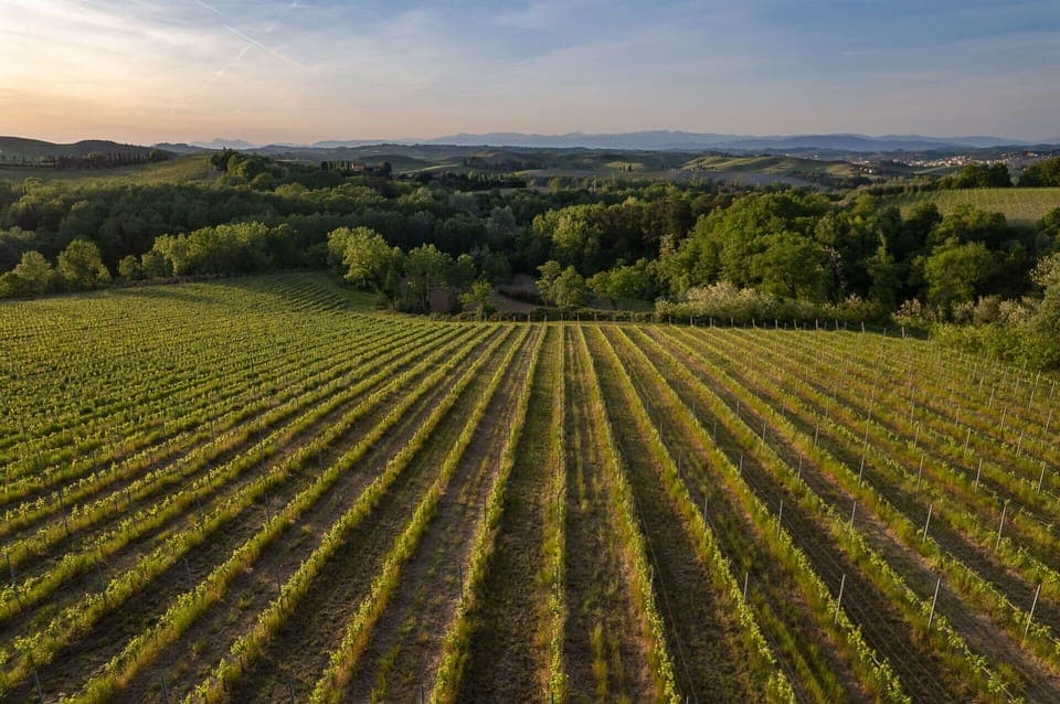 Autumn, Scenic View, Spring, Summer