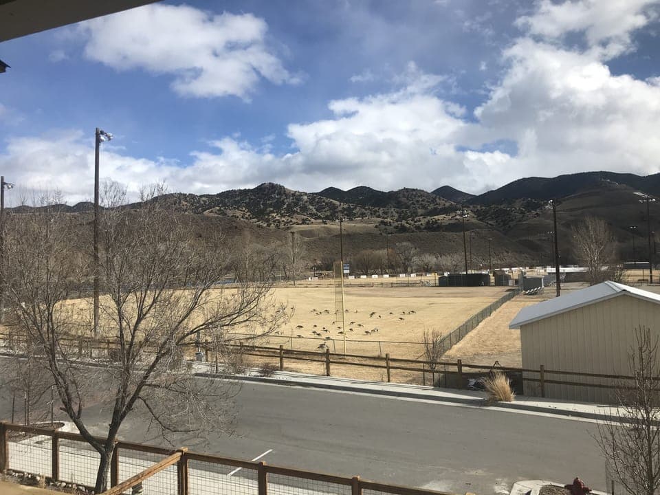 View from property
