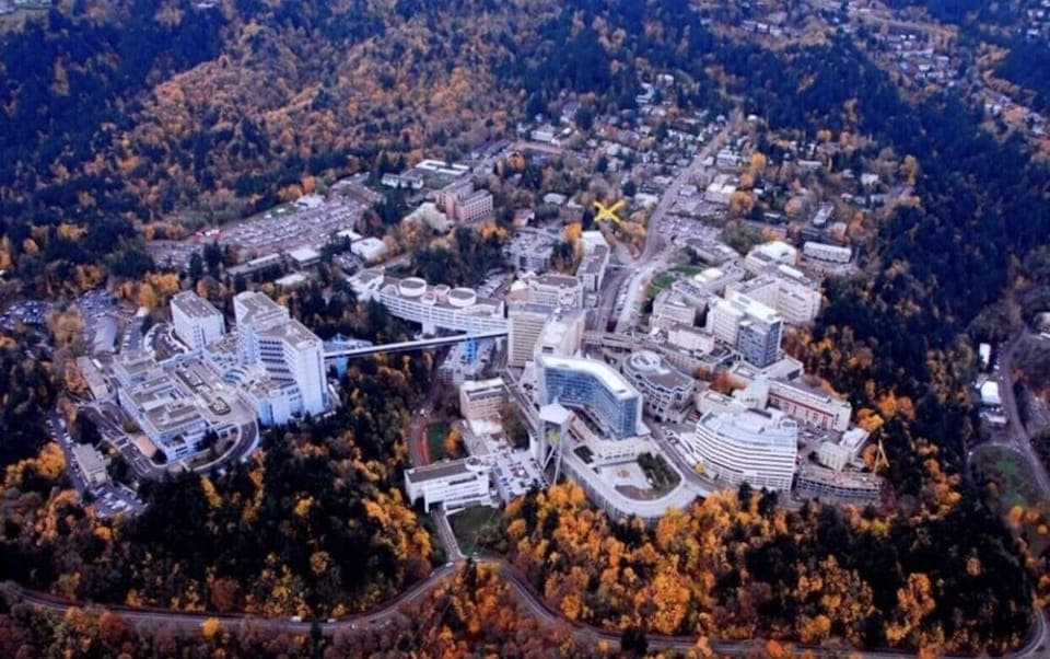 if you pay attention to the yellow X there is the property