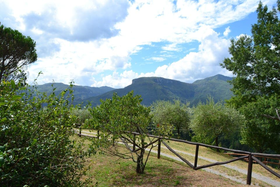 View of the garden and the Apuan Alps seen from La Capanna