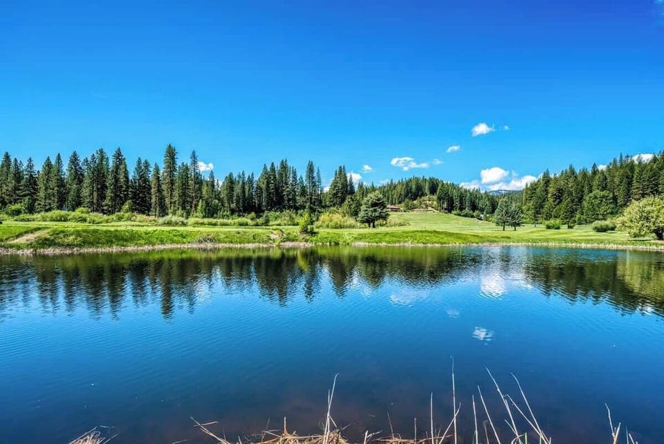 Gorgeous view on the Pond