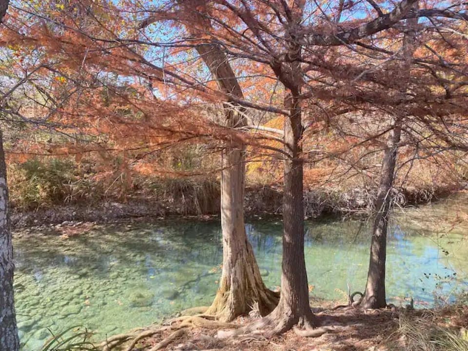 77a3b6af-cdfe-4183-a9f7-e4bb513390ee