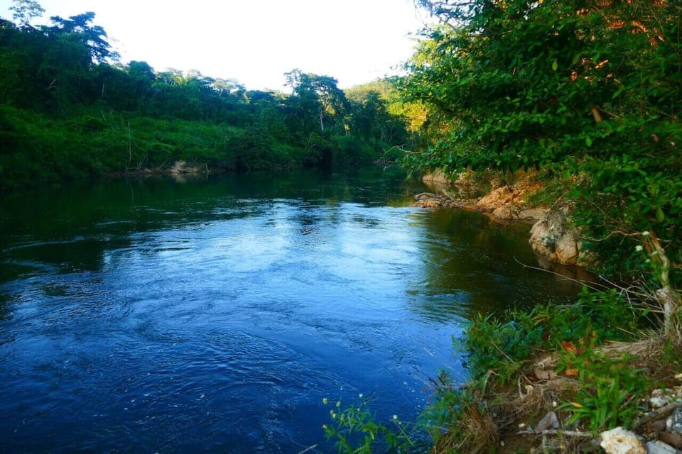 Macal river