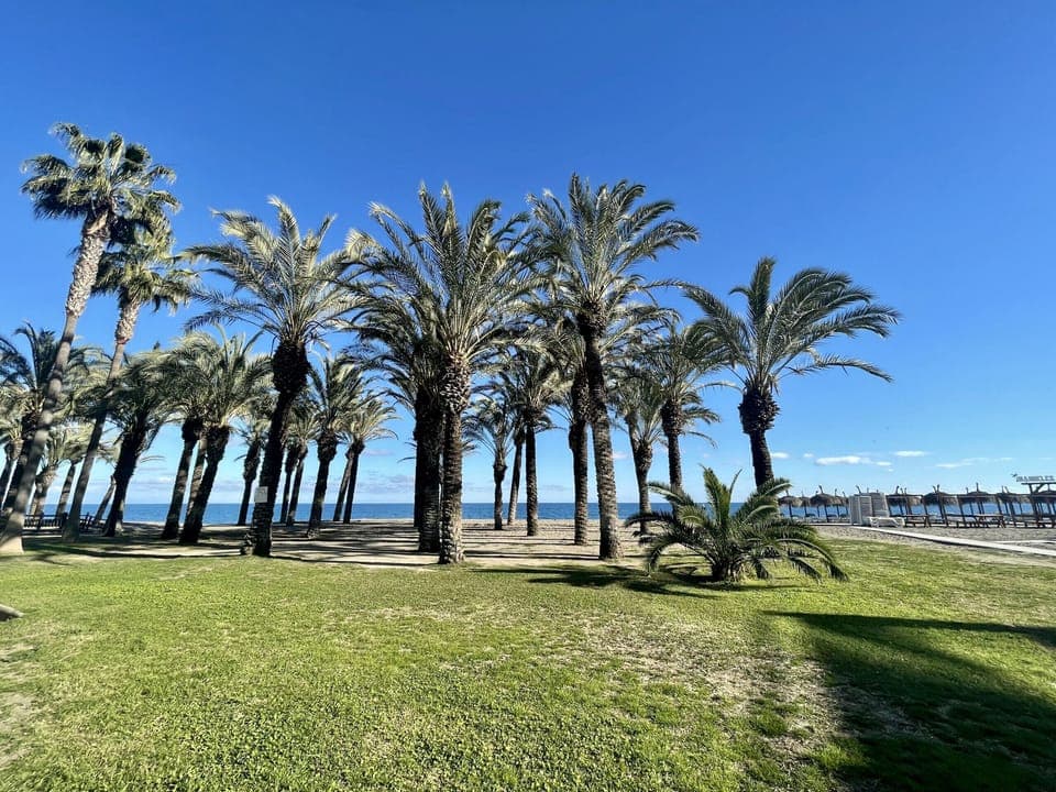 Green area on the beach
