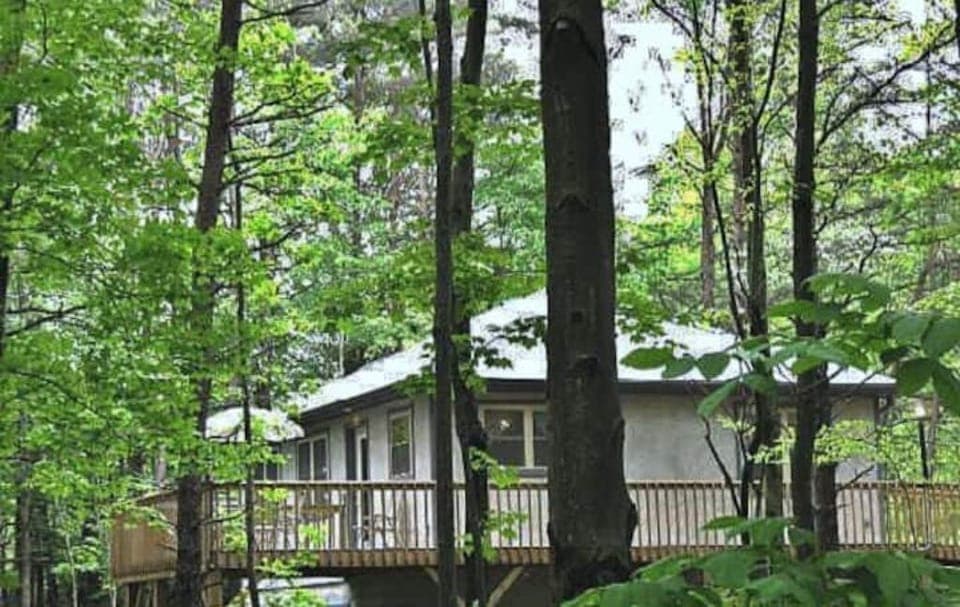 The cabin is built on one floor, no steps, with a walkway from the driveway