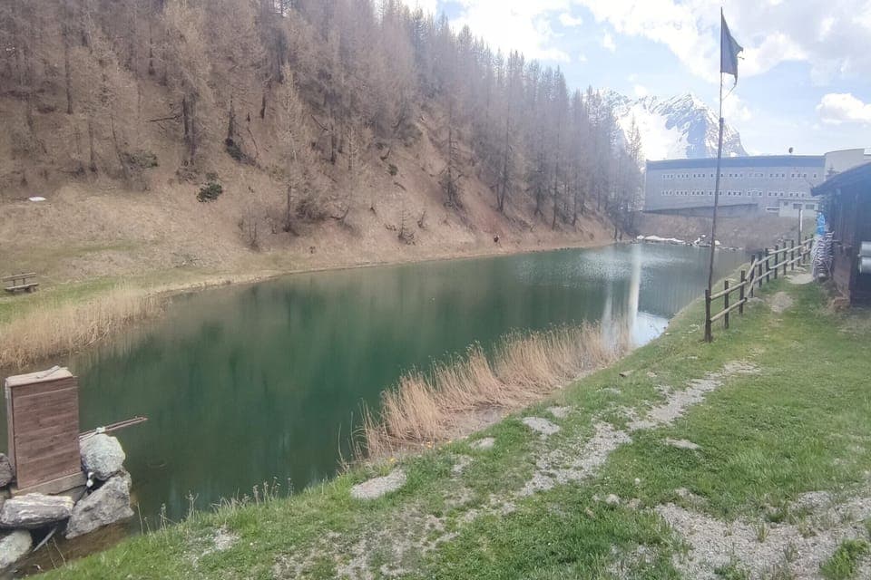 Immediate Surroundings [summer] (<1 km)