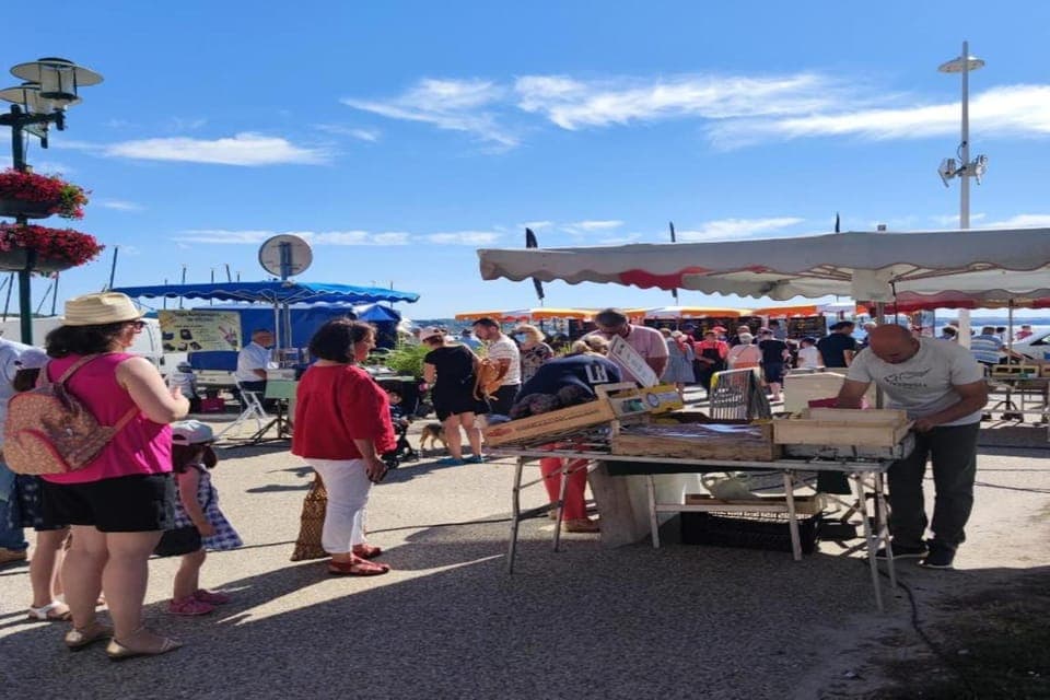 Region [summer] (>5 km)